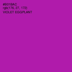 #B01BAC - Violet Eggplant Color Image