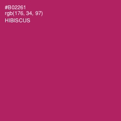 #B02261 - Hibiscus Color Image