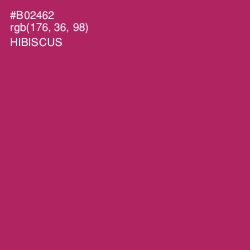 #B02462 - Hibiscus Color Image