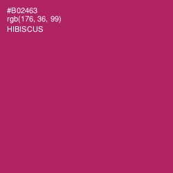 #B02463 - Hibiscus Color Image