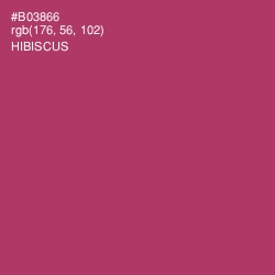 #B03866 - Hibiscus Color Image