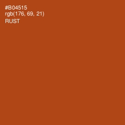 #B04515 - Rust Color Image