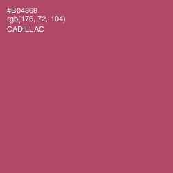 #B04868 - Cadillac Color Image