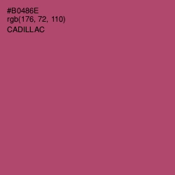 #B0486E - Cadillac Color Image