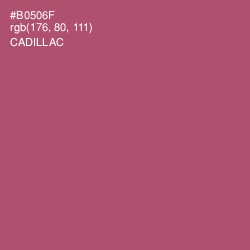 #B0506F - Cadillac Color Image