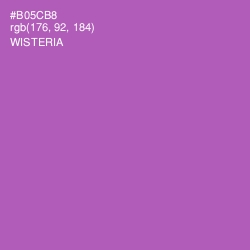 #B05CB8 - Wisteria Color Image