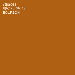 #B06013 - Bourbon Color Image