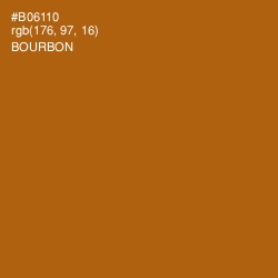 #B06110 - Bourbon Color Image