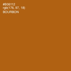 #B06112 - Bourbon Color Image