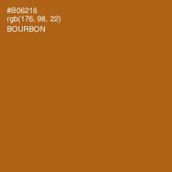 #B06216 - Bourbon Color Image