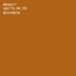 #B06217 - Bourbon Color Image
