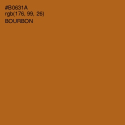 #B0631A - Bourbon Color Image