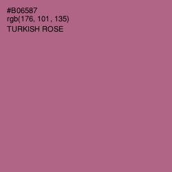 #B06587 - Turkish Rose Color Image