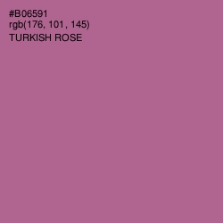 #B06591 - Turkish Rose Color Image