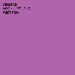 #B065AB - Wisteria Color Image