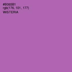 #B065B1 - Wisteria Color Image