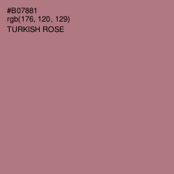 #B07881 - Turkish Rose Color Image