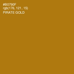 #B0790F - Pirate Gold Color Image