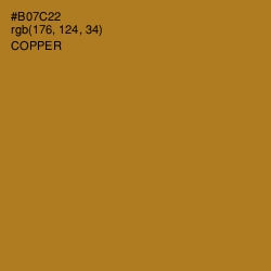 #B07C22 - Copper Color Image