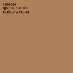 #B0805A - Muddy Waters Color Image