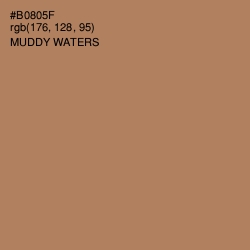 #B0805F - Muddy Waters Color Image