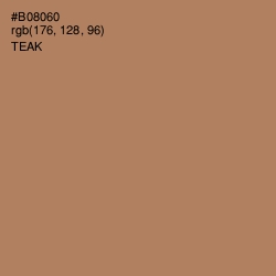 #B08060 - Teak Color Image