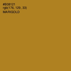 #B08121 - Marigold Color Image