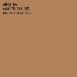 #B0815A - Muddy Waters Color Image