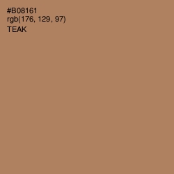 #B08161 - Teak Color Image