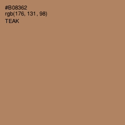 #B08362 - Teak Color Image