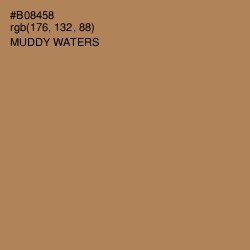 #B08458 - Muddy Waters Color Image