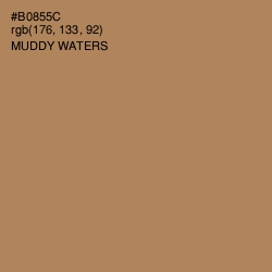 #B0855C - Muddy Waters Color Image