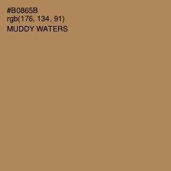 #B0865B - Muddy Waters Color Image