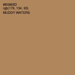 #B0865D - Muddy Waters Color Image