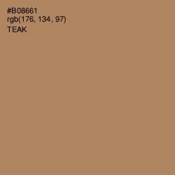 #B08661 - Teak Color Image