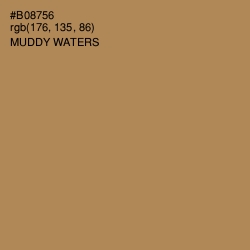 #B08756 - Muddy Waters Color Image