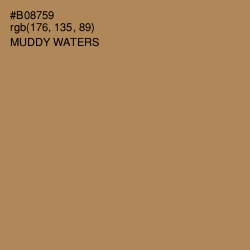 #B08759 - Muddy Waters Color Image