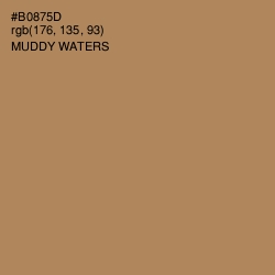 #B0875D - Muddy Waters Color Image