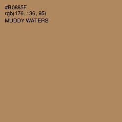 #B0885F - Muddy Waters Color Image