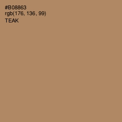 #B08863 - Teak Color Image