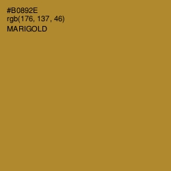 #B0892E - Marigold Color Image