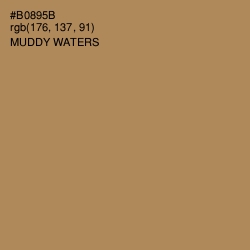 #B0895B - Muddy Waters Color Image