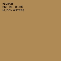 #B08A55 - Muddy Waters Color Image