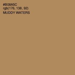 #B08A5C - Muddy Waters Color Image