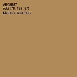 #B08B57 - Muddy Waters Color Image