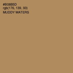 #B08B5D - Muddy Waters Color Image