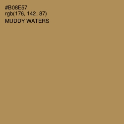 #B08E57 - Muddy Waters Color Image