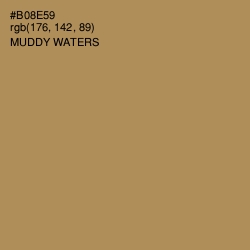 #B08E59 - Muddy Waters Color Image