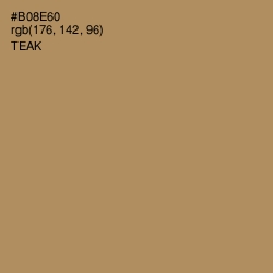 #B08E60 - Teak Color Image