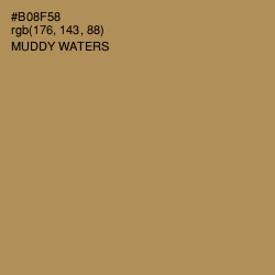 #B08F58 - Muddy Waters Color Image